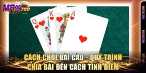 Cách Chơi Bài Cào - Quy Trình Chia Bài Đến Cách Tính Điểm