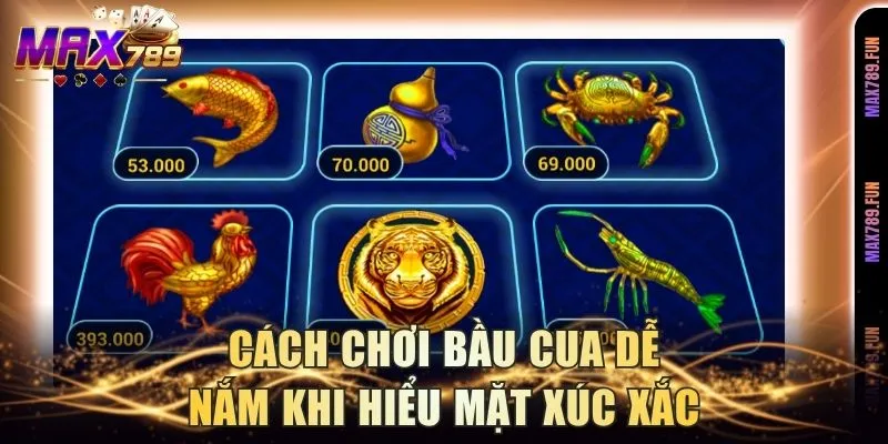 Cách chơi bầu cua dễ nắm khi hiểu mặt xúc xắc