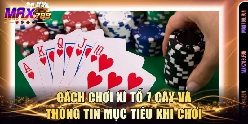 Cách chơi xì tố 7 cây và thông tin mục tiêu khi chơi