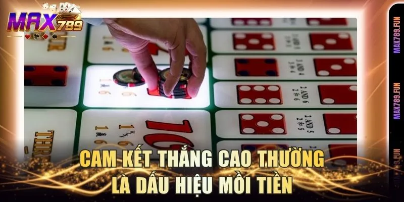 Cam kết thắng cao thường là dấu hiệu mồi tiền