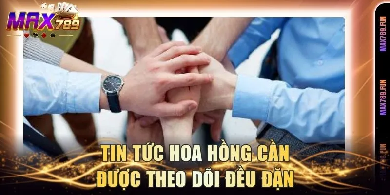 Tin tức hoa hồng cần được theo dõi đều đặn